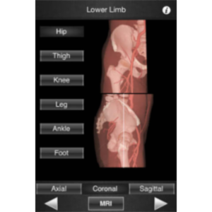 Monster Anatomy HD - Lower Limb App for iOS icon