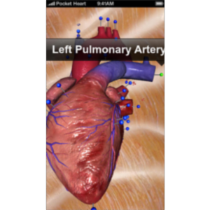 Pocket Heart App for iOS icon