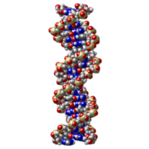 The Biology Project: Biochemistry icon