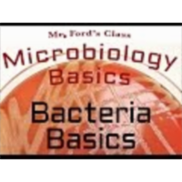 Bacteria Basics : Microbiology Basics icon