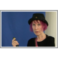 On the Creativity of Negation: The Case of Negative Sarcasm icon