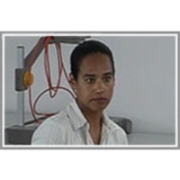 Clustering Dynamics Through an Emerging Market Crash in the Global Crisis 2007-2009 icon