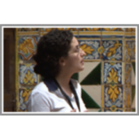 Near-Optimal Herding icon