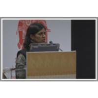 Faceted Approach To Diverse Query Processing