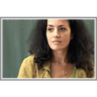 Global and Local Dynamics in Correlated Systems icon