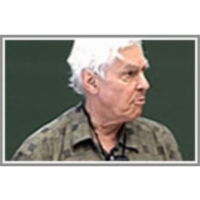 The Mathematics of Emergence and Flocking icon