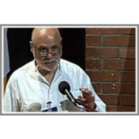 A Paradigmatic Complex System: The Immune System icon