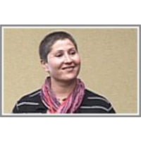 Conceptual Clustering and its Application to Concept Drift and Novelty Detection icon