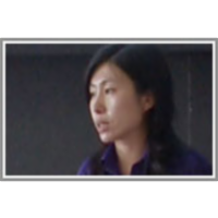 Topic-Link LDA: Joint Models of Topic and Author Community icon