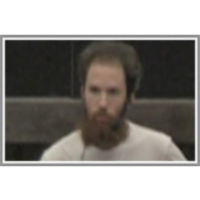 Using Fast Weights to Improve Persistent Contrastive Divergence icon