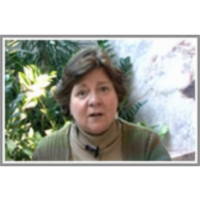 Interview with Lynn A. Isabella icon