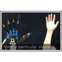 11. Copycat Hand for All