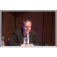 The State and the democracy: new perspectives icon