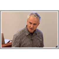 Polymodal Sensory Integration in the Visual System icon