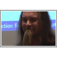 Optimal Support Vector Selection for Kernel Perceptrons icon