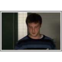 Using sequential Monte Carlo approaches as a design tool in synthetic biology icon