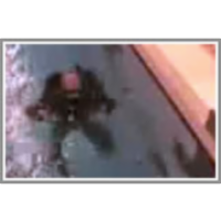 Donning the BC in the water icon