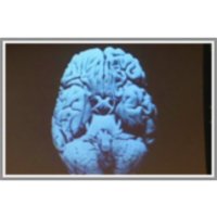 Architecture of the Brain icon