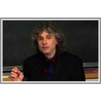 The Blank Slate: The Modern Denial of Human Nature icon