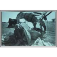 Darfur/Darfur: The Crisis