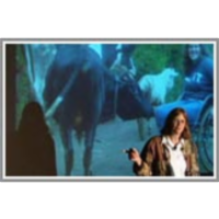 The International Development Fair: The Human Factor at Work in the World icon