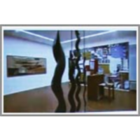 What legacy do museums in the countries of formerly repressive political regimes deal with and what future do they face? icon