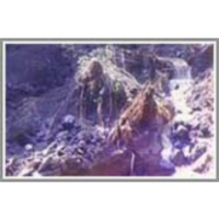 Practical experiences with outbursts of mine water from abandoned mines in Slovakia acquired by State Mining Authority icon