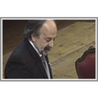 Coping with Semantic Uncertainty with VENSES