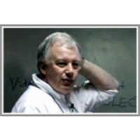 Reaction and Diffusion on Fractal Sets icon