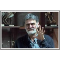 Šakali v Sloveniji icon