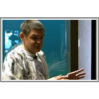 Gozdne ptice Slovenije icon