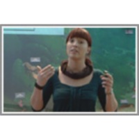 Ujetništvo delfinov