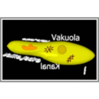 Življenje pod mikroskopom icon