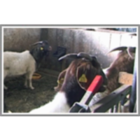 Ekološka kmetija icon