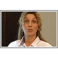 Semantic 2008-2014 icon