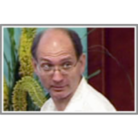 Partial cubes and other l1-graphs icon