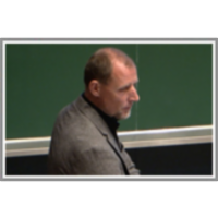 Effect of prenatal stress on sexual and aggressive behavior of adult male mice icon