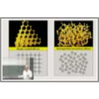 Losses and Optimization