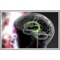 Trening spomina icon