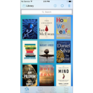 Bluefire Reader App for iOS icon
