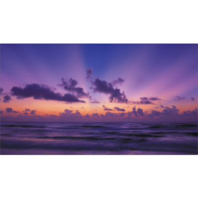 Jasmine Brown Samuels