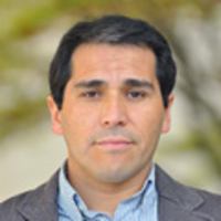 Carlos Riquelme Cepeda