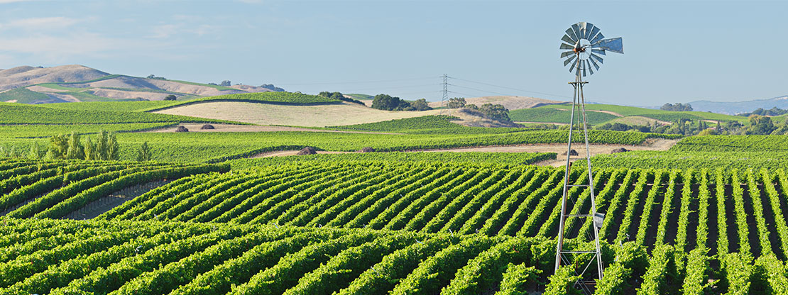 MERLOT Agriculture and Environmental Sciences